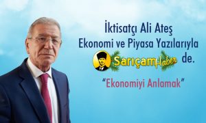 Ekonomiyi Anlamak.
