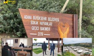 ABŞB Sokak Havyanları Bakımevinde Bir Gün.